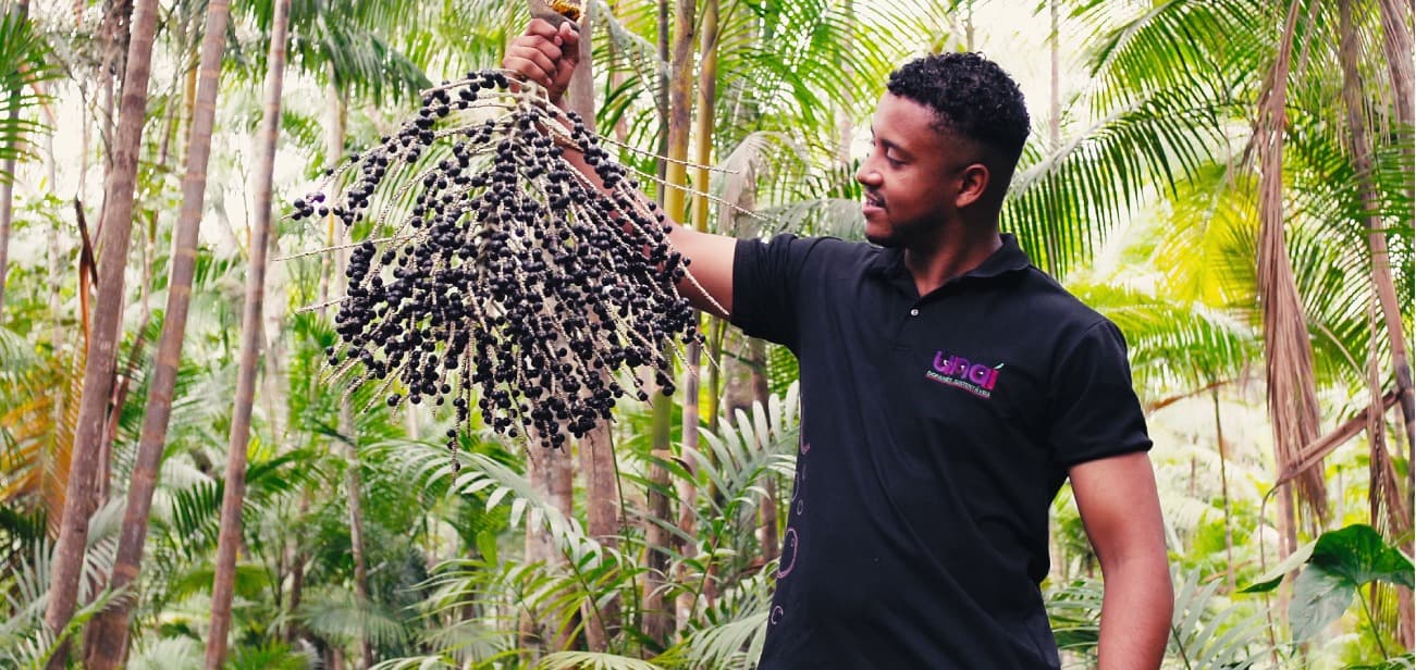 Jovem paraense levará projeto sustentável com reaproveitamento de açaí à conferência internacional na Austrália