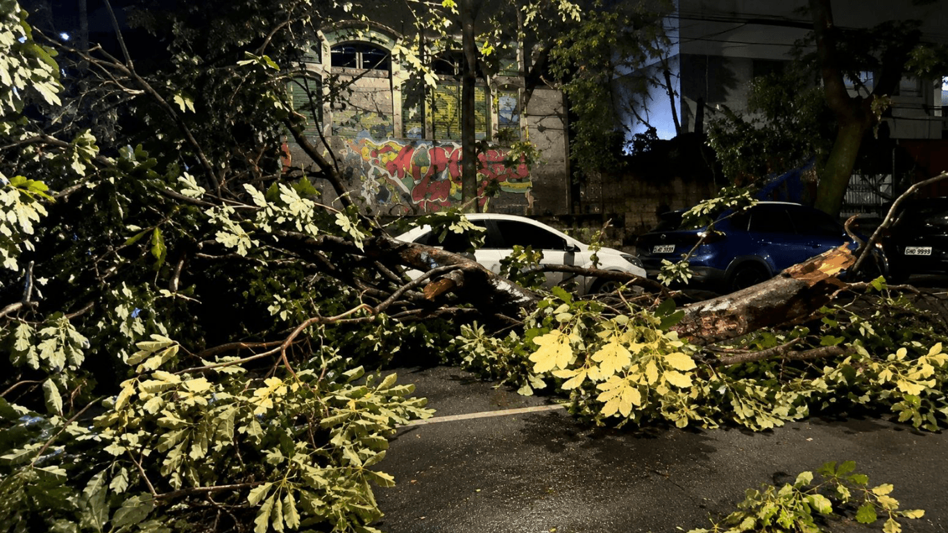 Árvore cai no centro de Belém após forte chuva