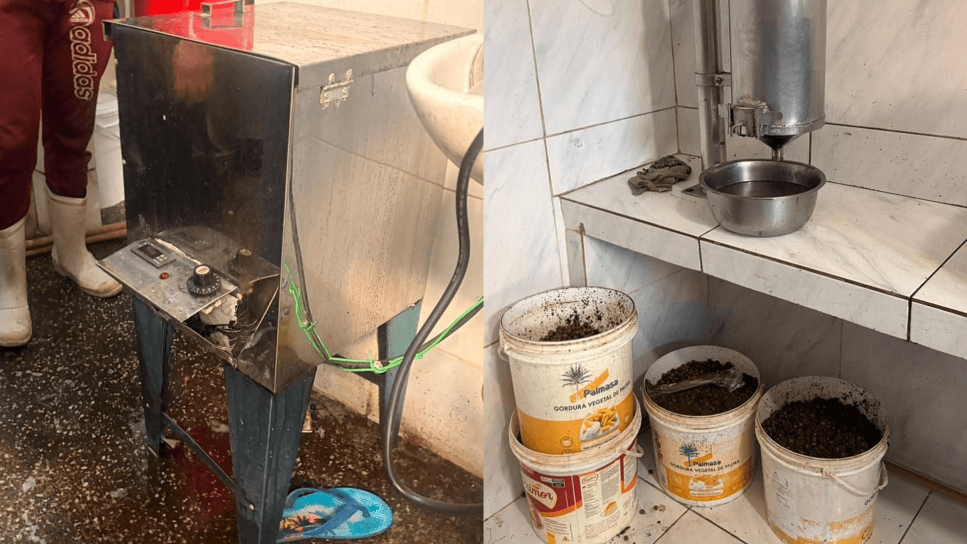 Operação fiscaliza pontos de produção e venda de açaí em Ananindeua e interdita oito estabelecimentos