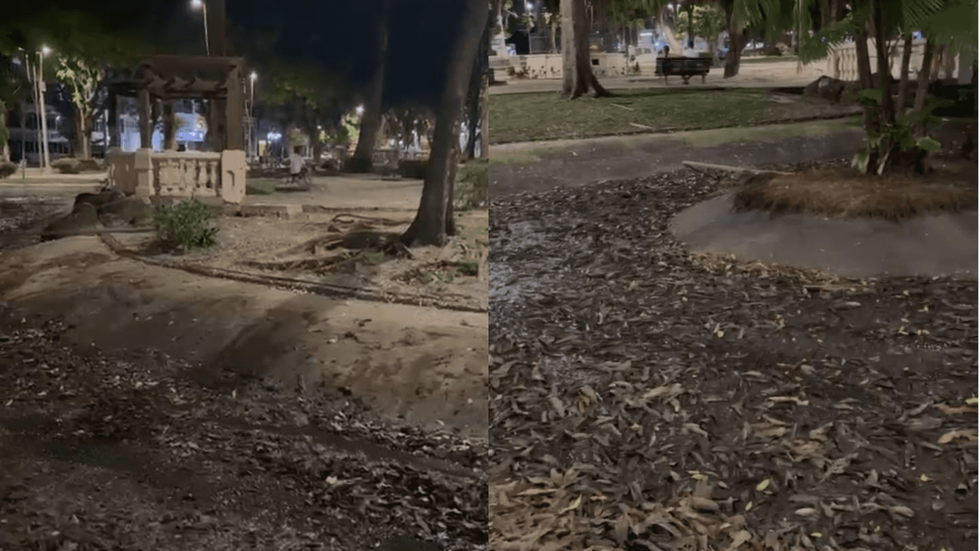 Lagos da Praça Batista Campos secam e acumulam peixes mortos em cenário de abandono