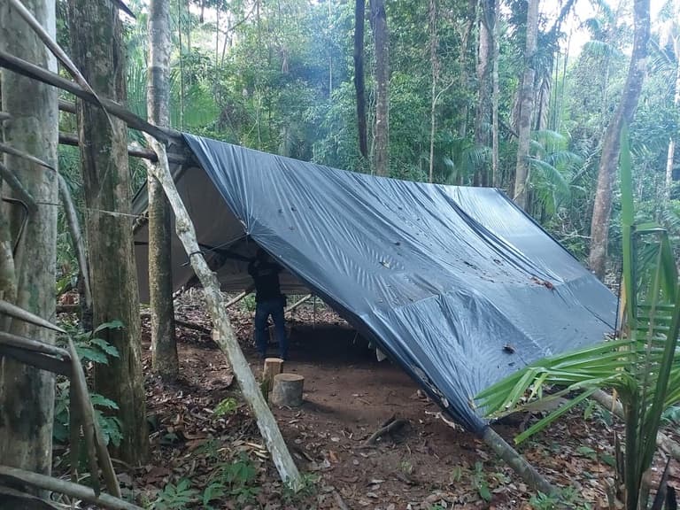 PF faz apreensões durante operação contra desmatamento em terra indígena em Altamira