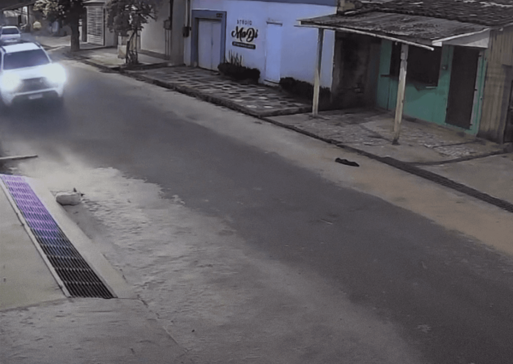 Cachorro é atropelado por caminhonete em Abaetetuba
