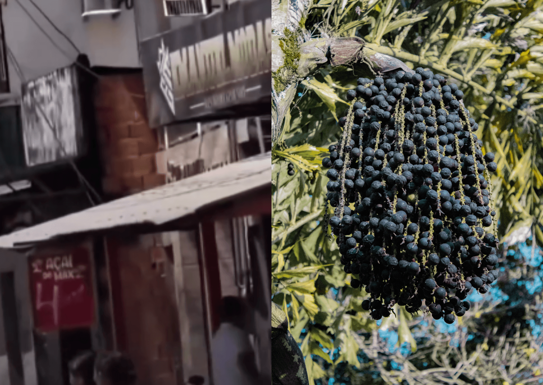 Açaí a R$ 4 em Portel chama a atenção de internautas 