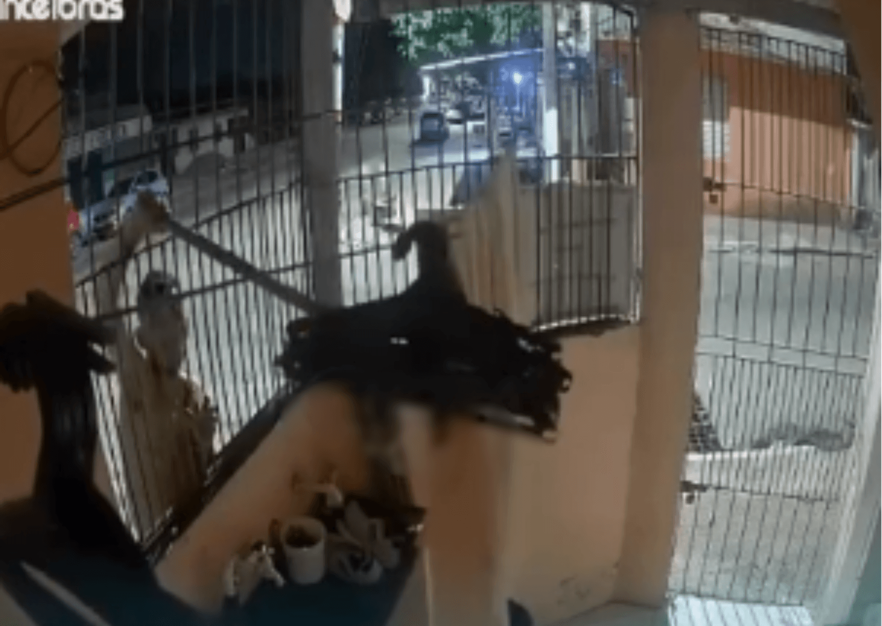 Homem é flagrado 'pescando' calcinhas de varal em Santarém