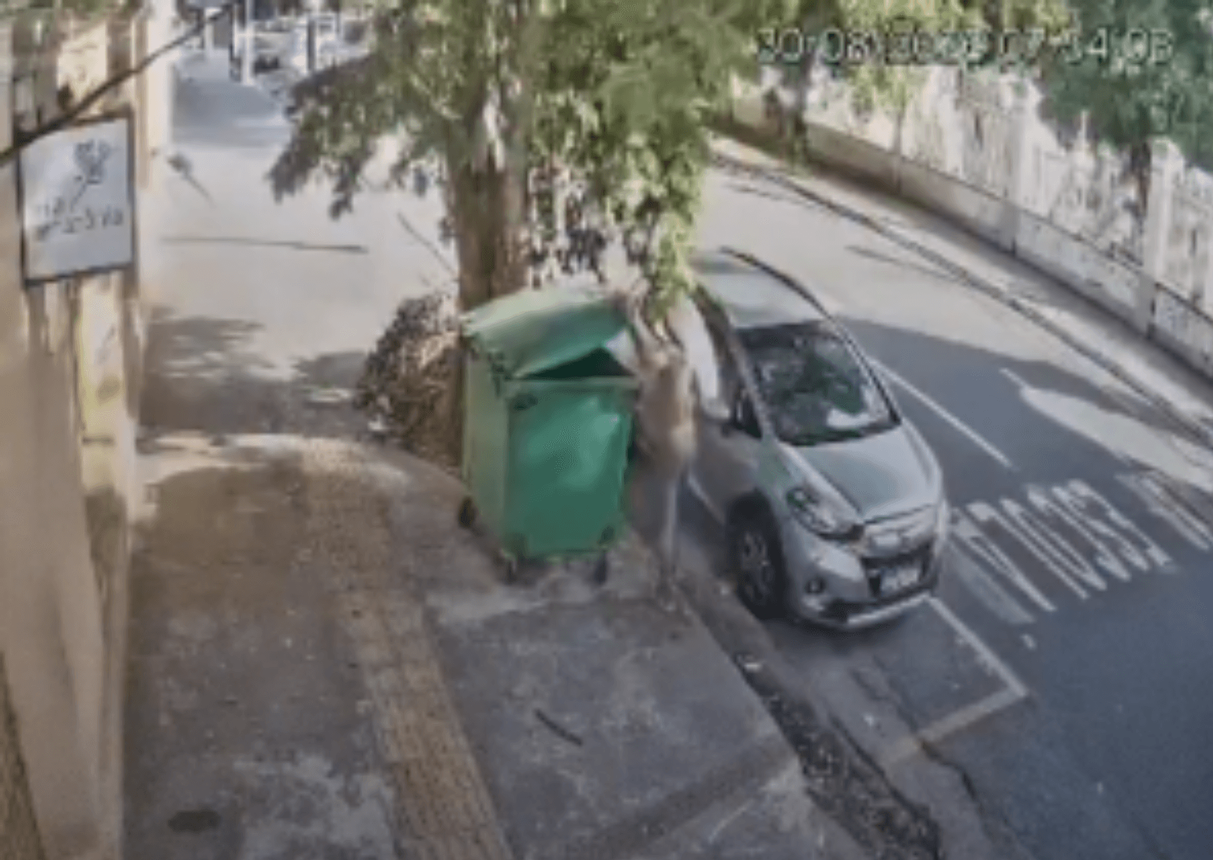 Homem furta contêiner de lixo e deixa local tranquilamente em Belém; veja o momento