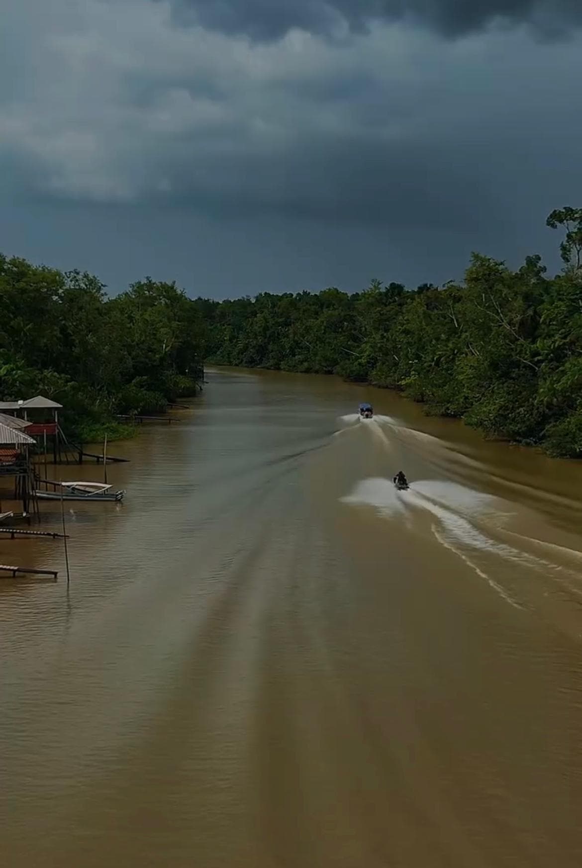 Canais do governo federal divulgam vídeo especial para celebrar o dia da Amazônia