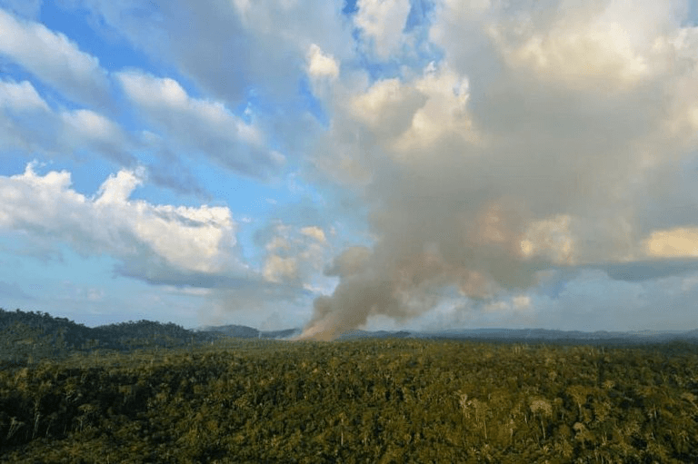 MPF pede multa de R$ 50 mil por dia contra União por demora em conter invasão de terra indígena no Pará