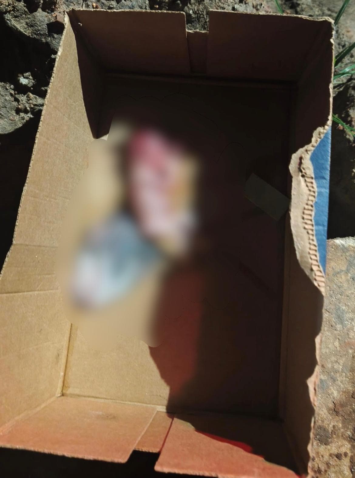 Vídeo: feto é encontrado em caixa de sapato no bairro da Cabanagem, em Belém