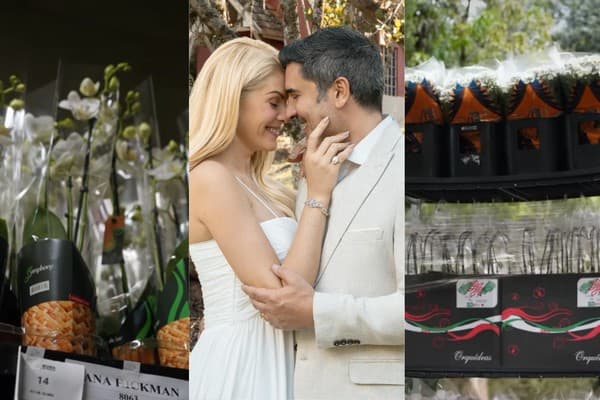 Ana Hickmann e Edu Guedes oficializam casamento em cerimônia com amigos e familiares
