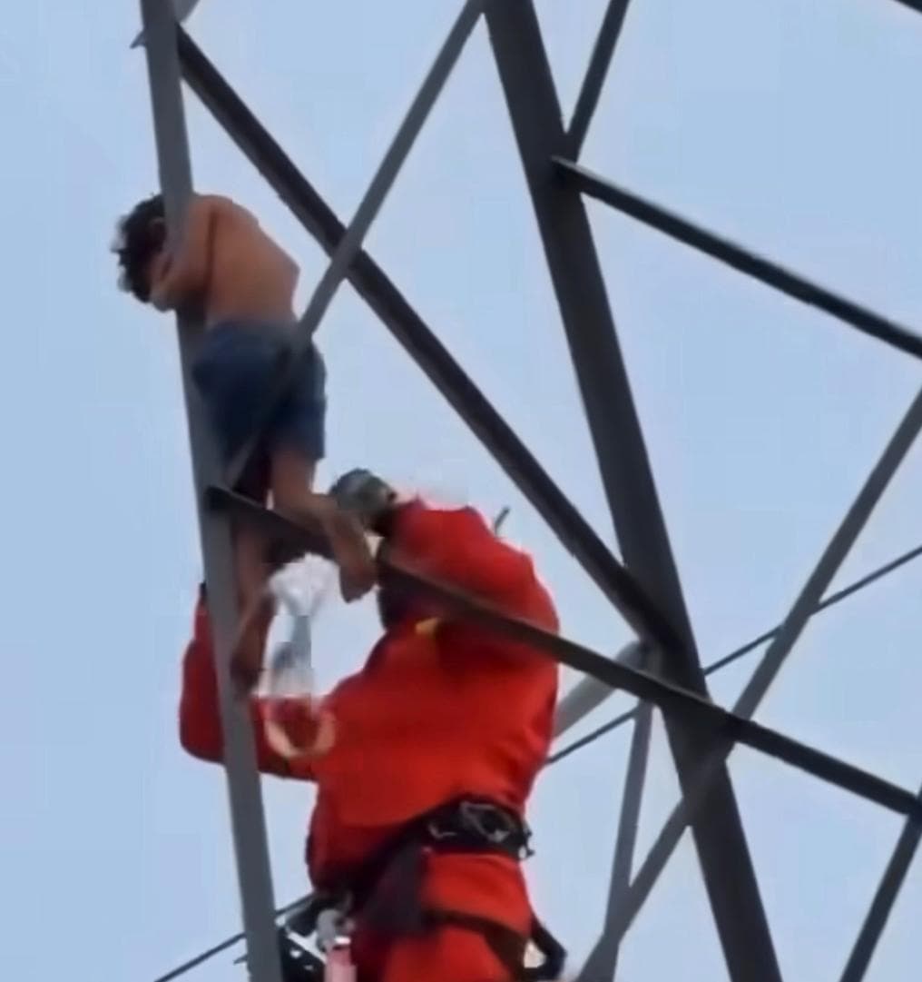 Vídeo: criança de 5 anos é resgatada por equipe do Corpo de Bombeiros a mais de três metros de altura em Rondônia