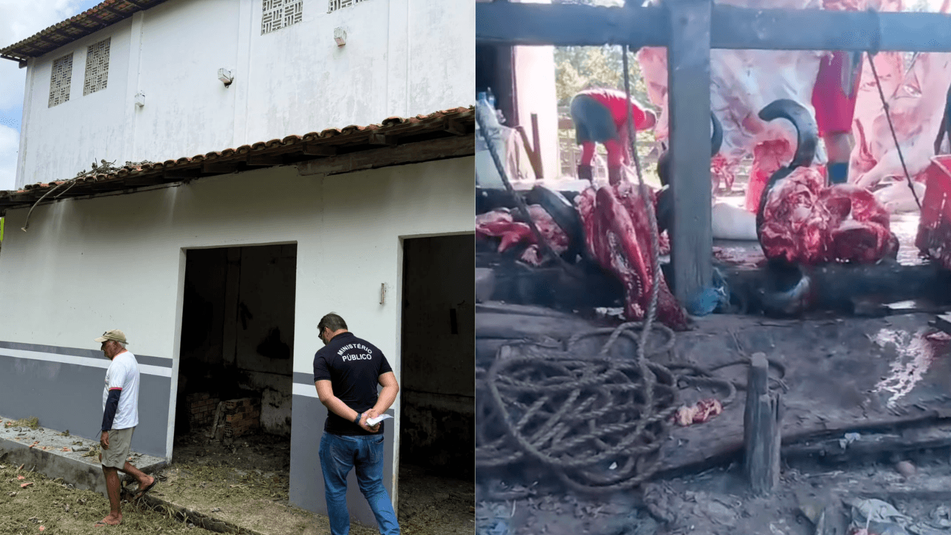 MPPA faz nova vistoria no Matadouro Municipal de Muaná após denúncias