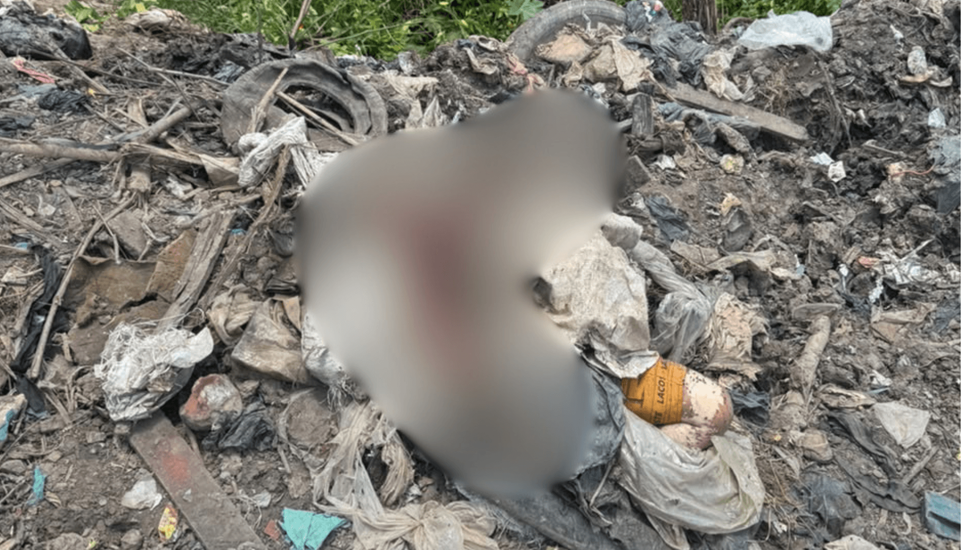 Corpo de homem de 51 anos é encontrado morto em área de lixo na estrada do Aurá
