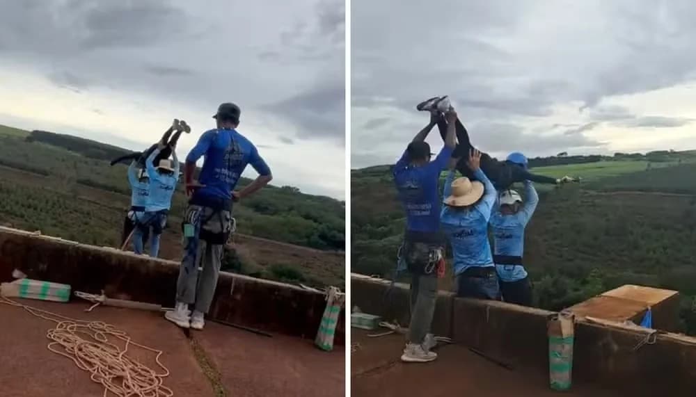 Rope jump: instrutores relataram 'apagão' ao lançarem jovem sem cordas de ponte em SP, diz delegada