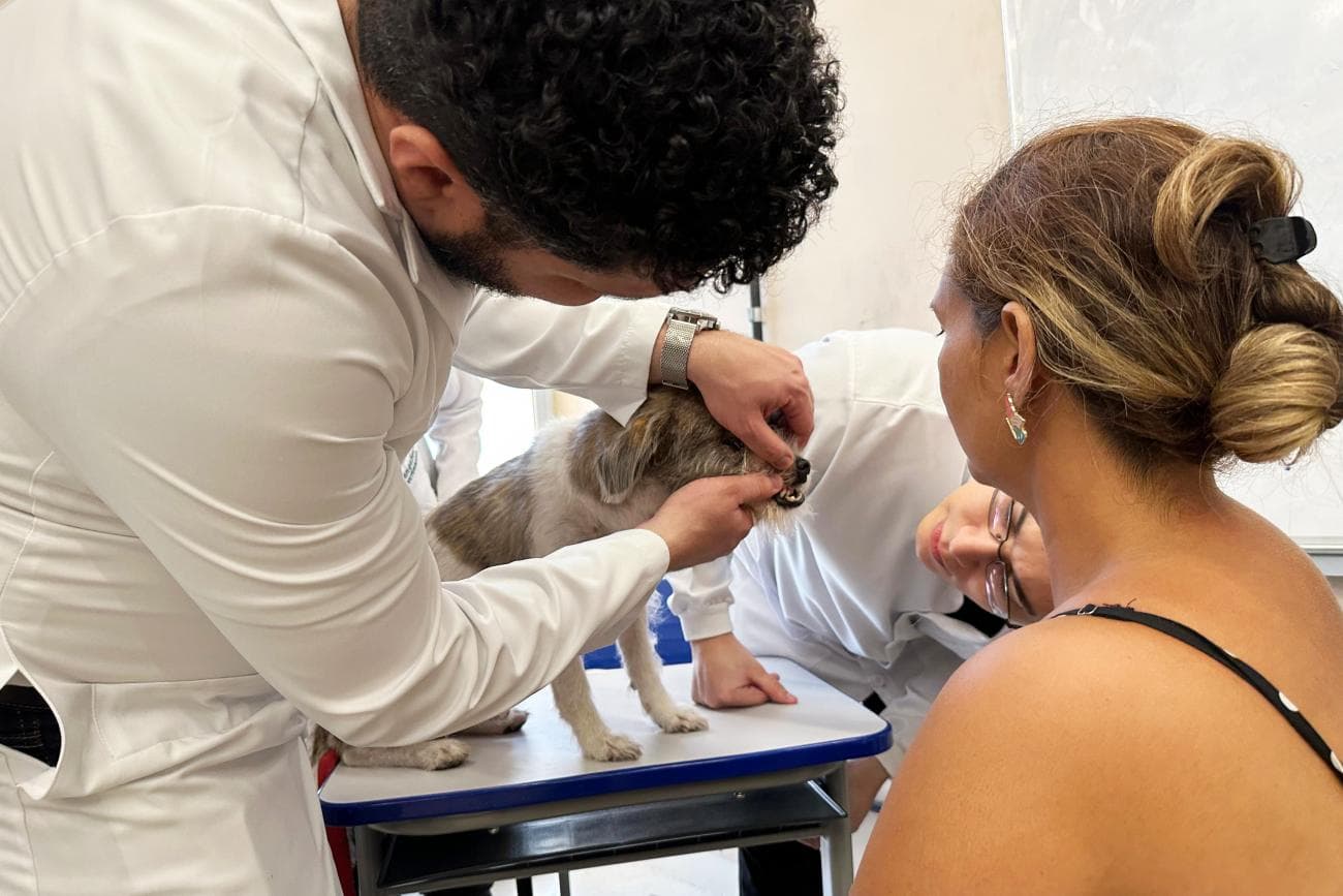 Piso de R$ 10 mil para veterinários e zootecnistas gera debate sobre valorização profissional no Pará