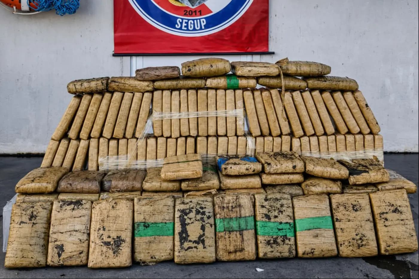 Cães farejadores ajudam a localizar mais de 117 kg de droga em embarcação no Pará