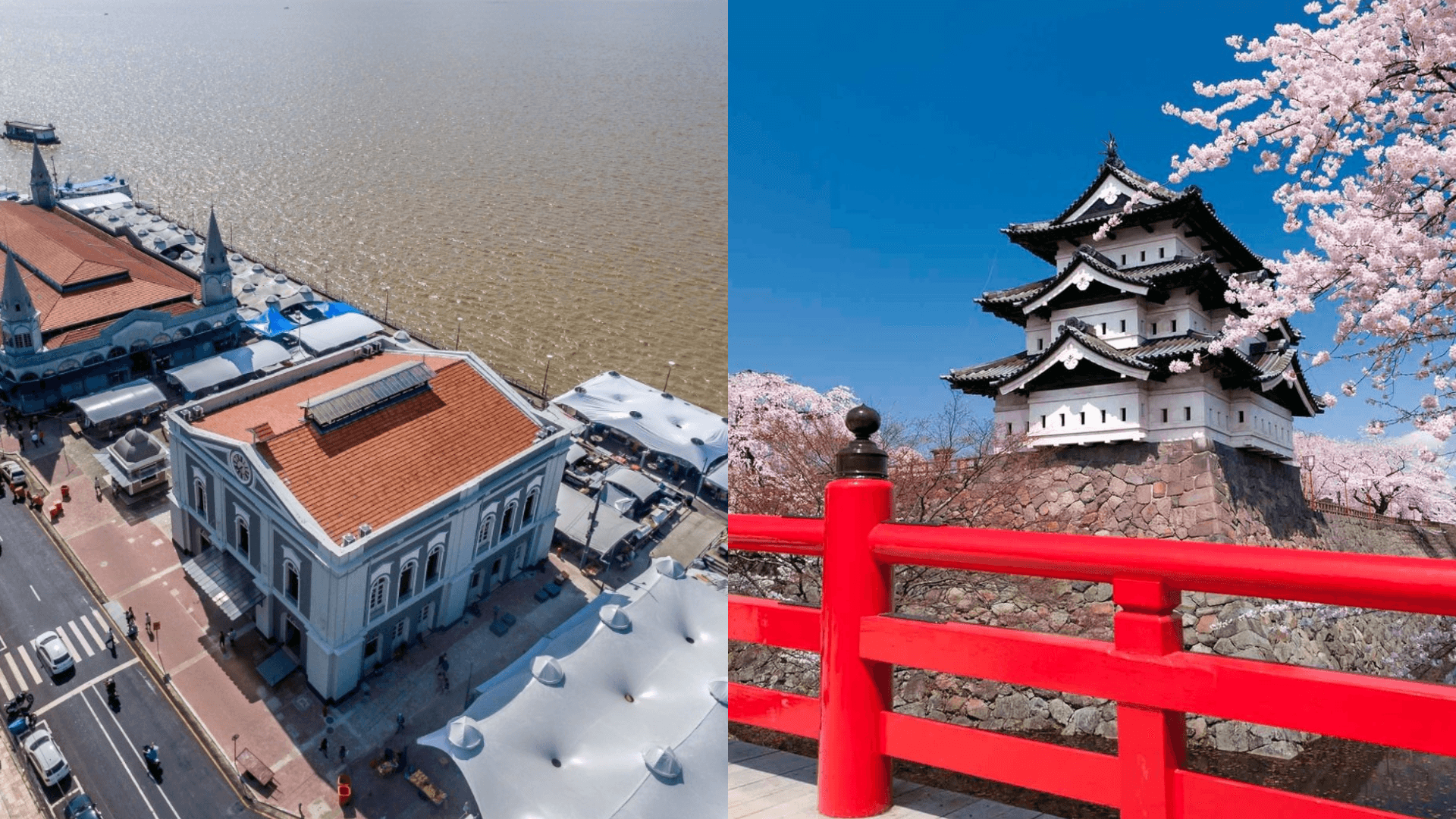 Entre o sol nascente e a Cidade das Mangueiras, Belém se antecipa ao apito de Brasil x Japão