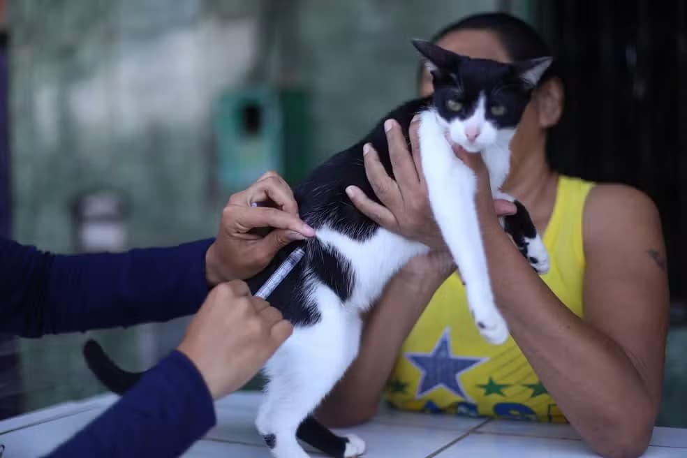 Praça da República recebe ação gratuita com atendimento veterinário e serviços para pets neste sábado