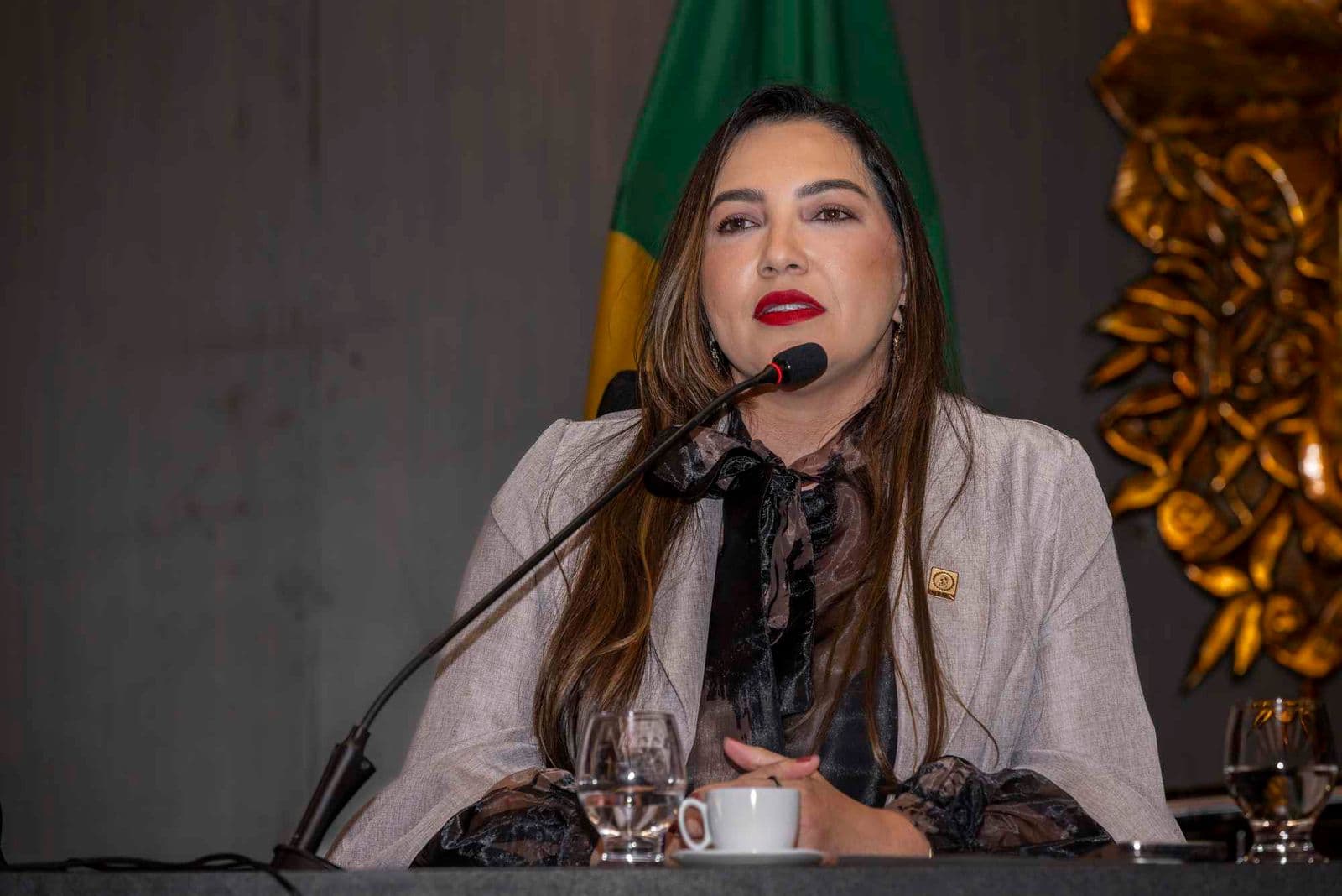 Em meio à disputa judicial, Adriana Falconeri é reeleita para comandar o Crea-PA, que administra orçamento de R$ 60 milhões