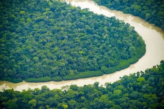 Algoz do Brasil na Copa, Noruega financia a Amazônia enquanto acumula desconfianças ambientais