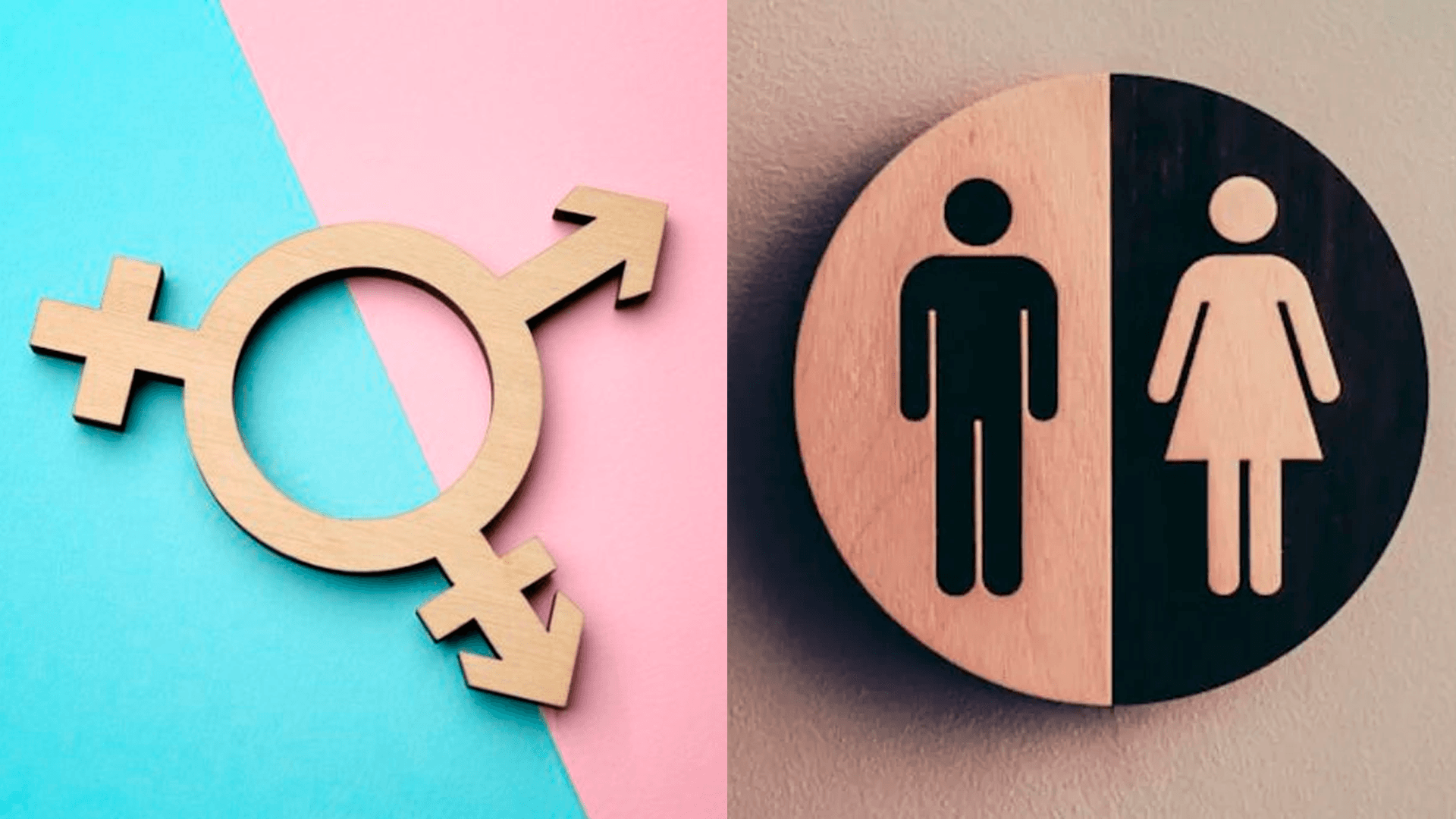 MPF recomenda à governadora do Pará veto a projeto que limita uso de banheiros por pessoas trans em templos religiosos