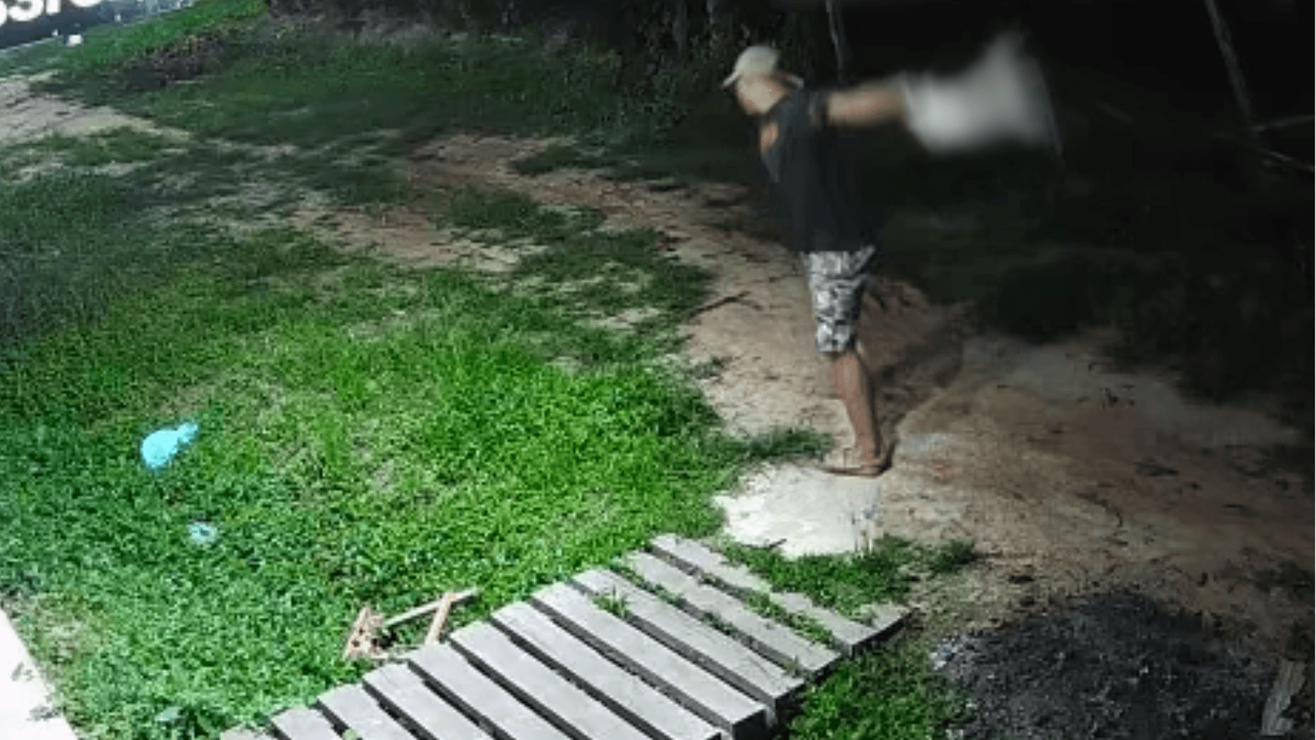 Homem é preso por maus-tratos a gato em Muaná após agressão ser registrada por câmera de segurança