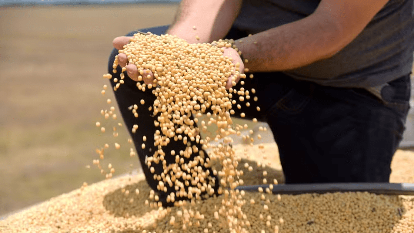 Tarifa dos EUA afetará 36,5% das exportações do agronegócio brasileiro, diz CNA