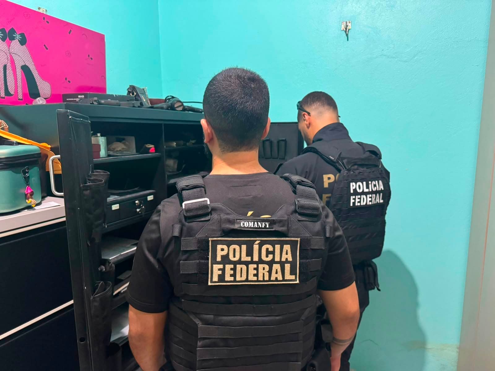 Operação da PF mira grupo suspeito de causar R$ 469 milhões em danos ambientais no Pará