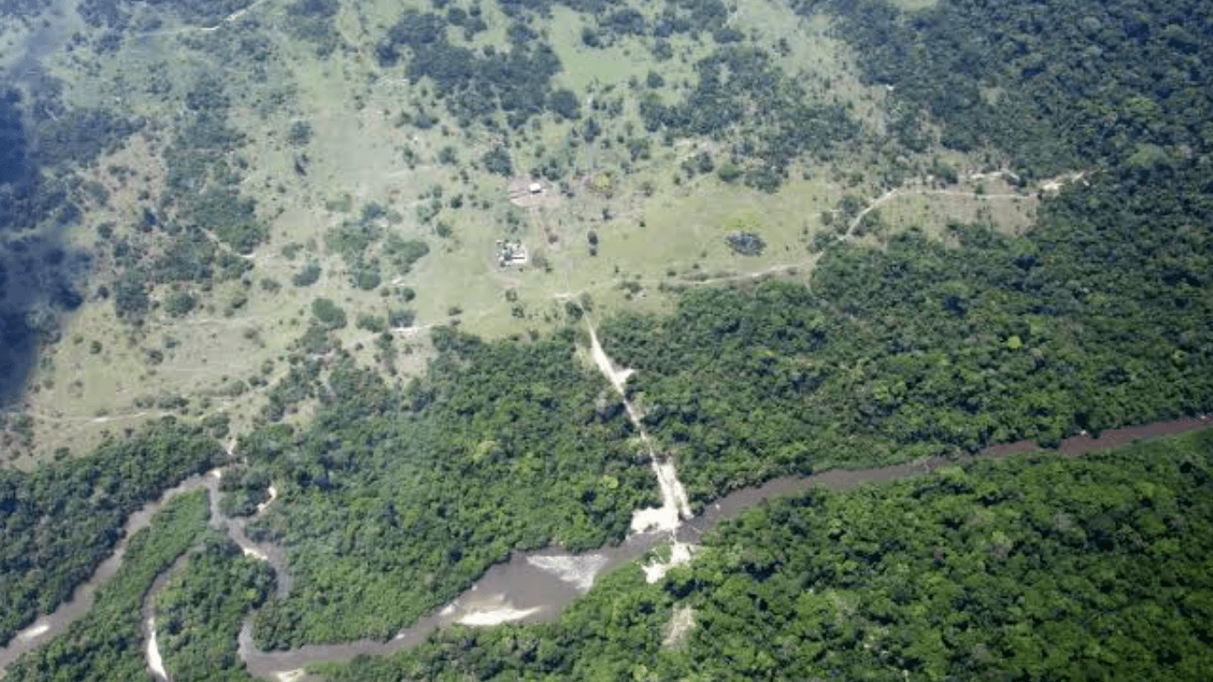 BNDES libera R$ 180 milhões para restaurar mais de 10 mil hectares de áreas degradadas no Pará
