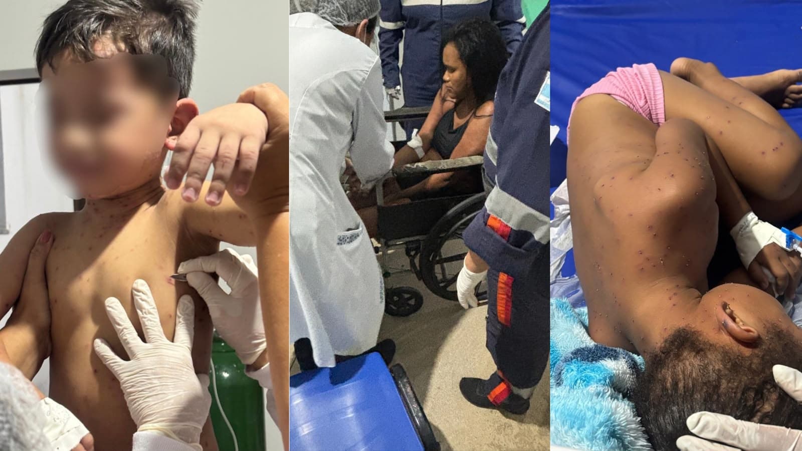 Mãe e crianças são salvas de ataque intenso de abelhas em Ananindeua