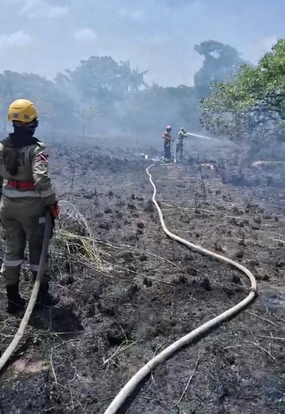 Vídeo: incêndio consome área em Salinópolis e mobiliza Corpo de Bombeiros