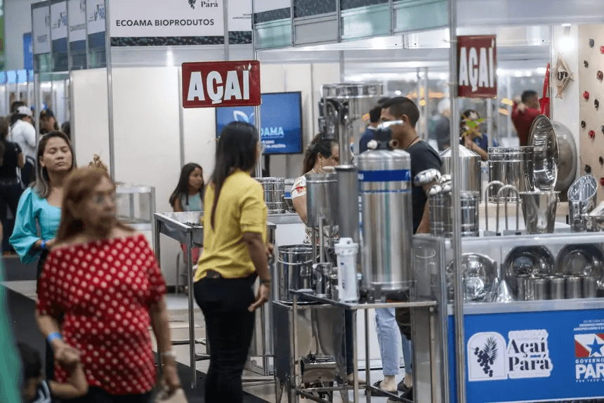 Açaí está mais caro em Belém neste final de ano, aponta Dieese