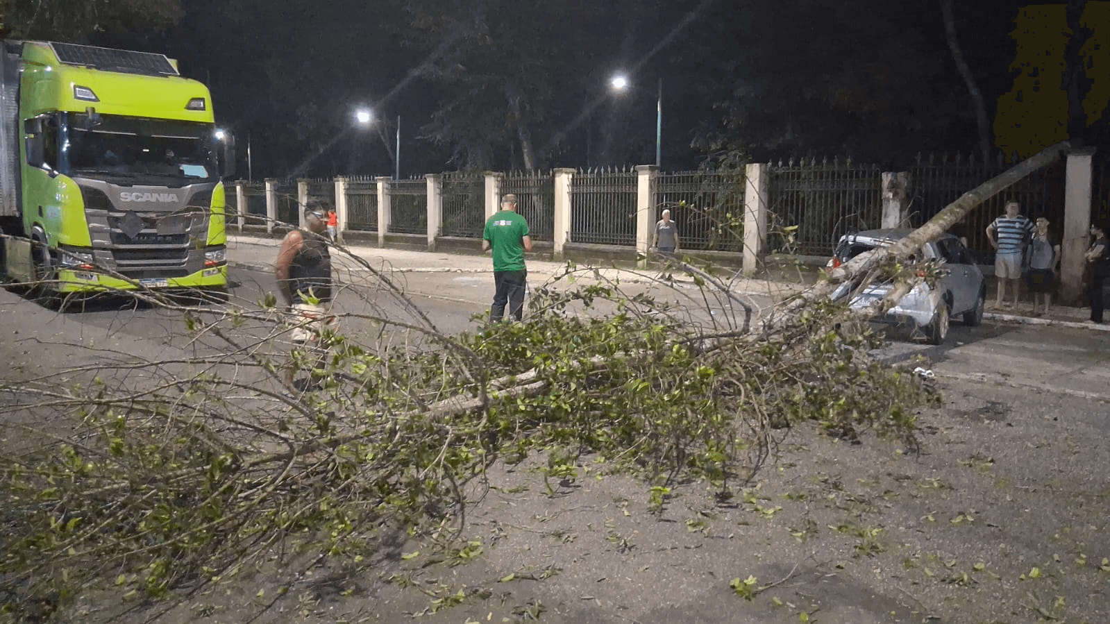 Árvore do Bosque Rodrigues Alves cai e atinge carro no bairro do Marco