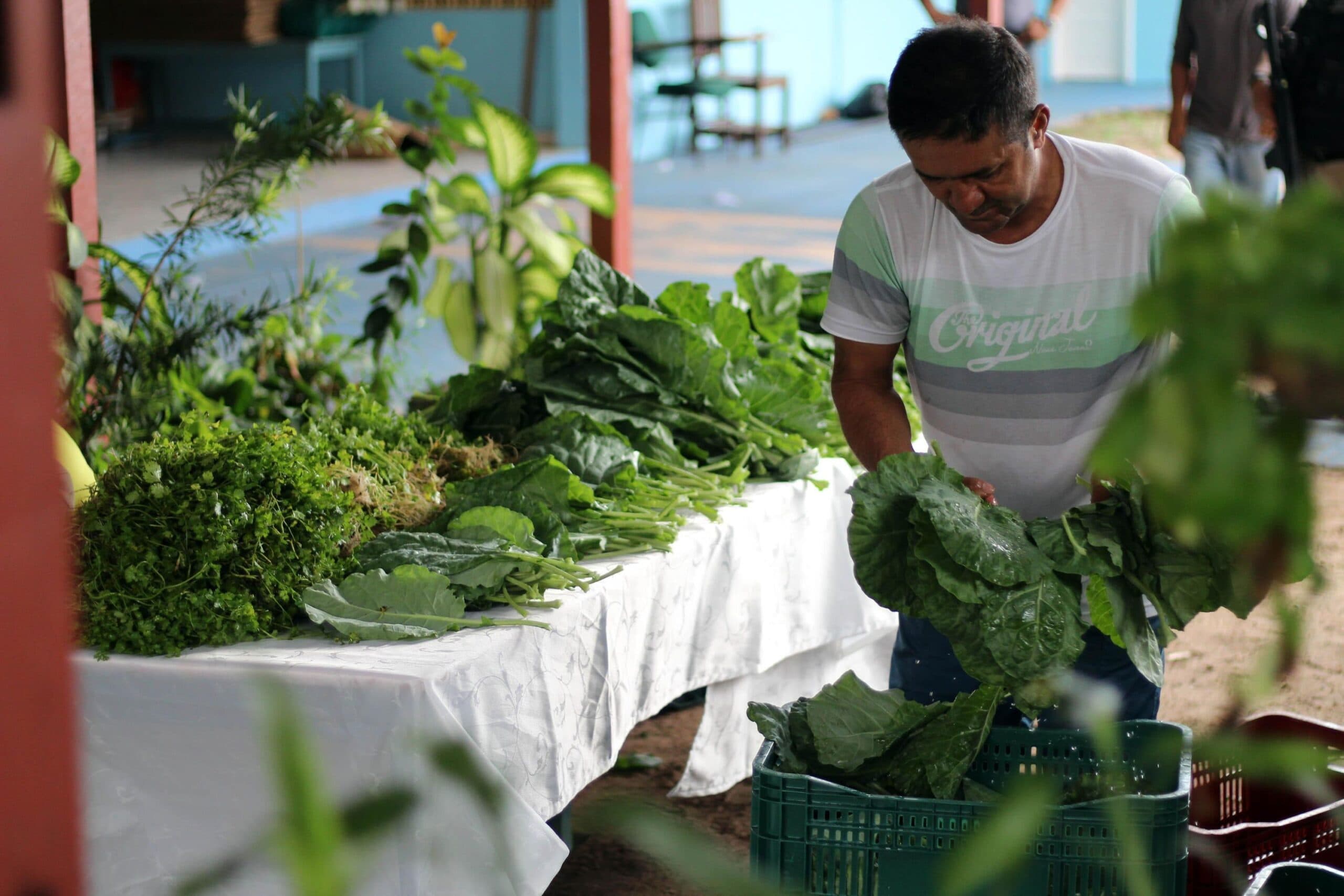 Avanço dos produtos orgânicos coloca o Pará no mapa nacional da alimentação sustentável