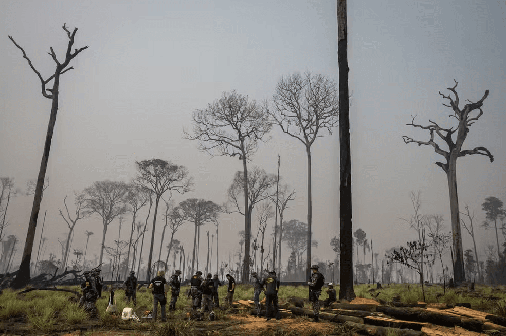 Câmara aprova redução da Floresta Nacional do Jamanxim, no Pará