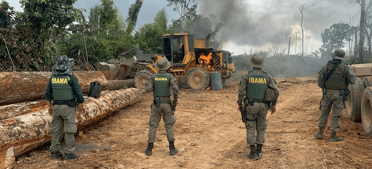 Câmara avança sobre poder do Ibama e causa apreensão nos defensores da floresta no Pará