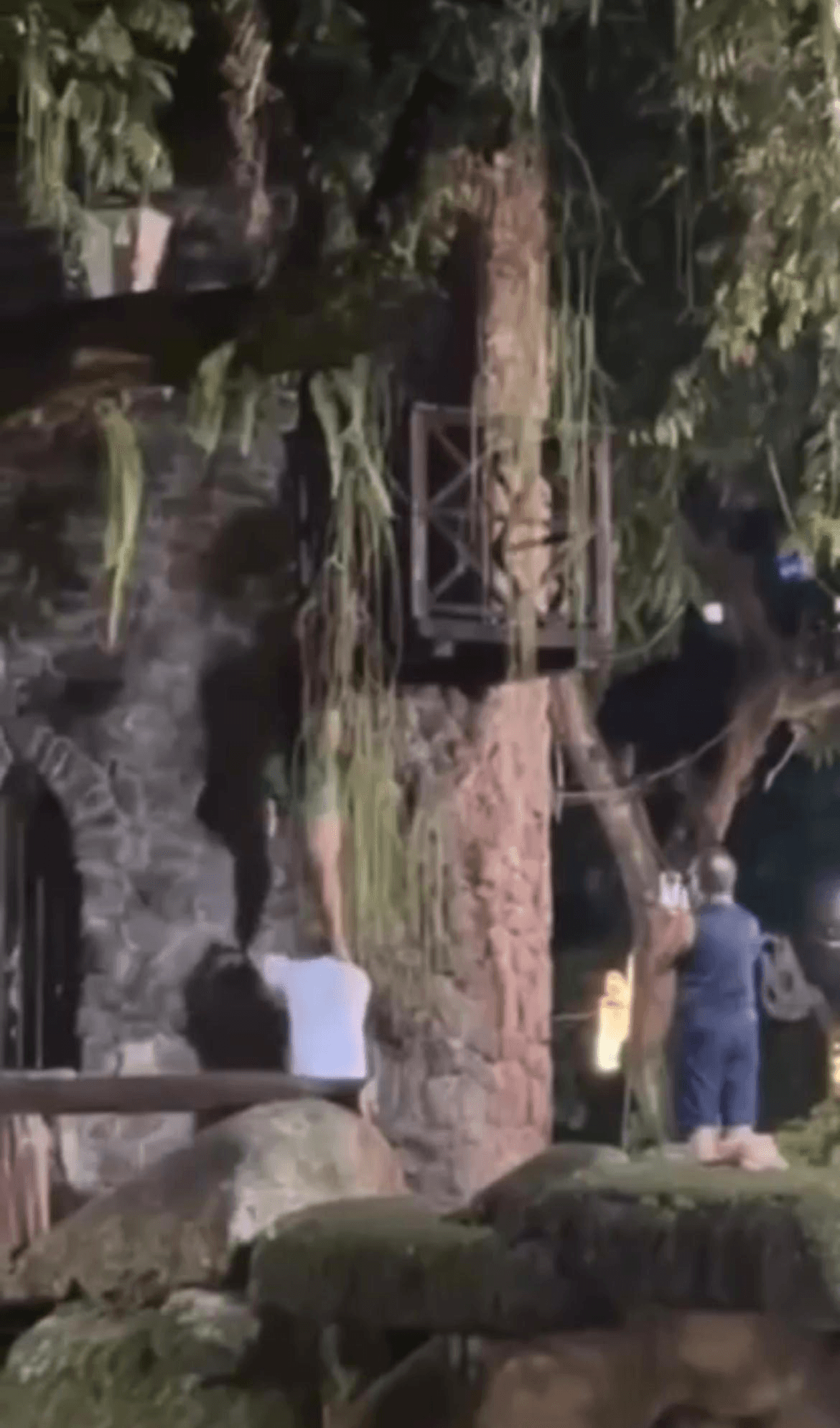 Casal é flagrado tentando entrar em castelo fechado na praça Batista Campos, em Belém