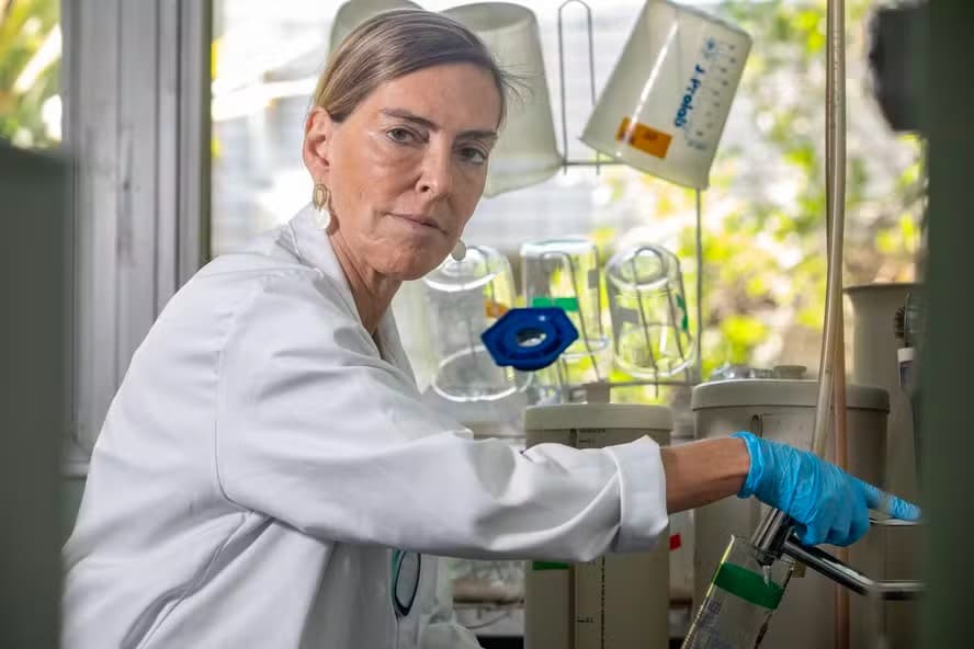 Cientista brasileira Tatiana Sampaio desenvolve 'cola biológica' para tratar paralisia