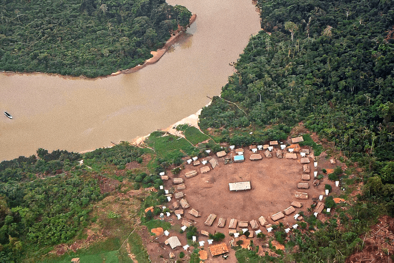Condenações por criação e venda ilegais de gado em Terra Indígena no Pará já totalizam R$ 18,4 milhões