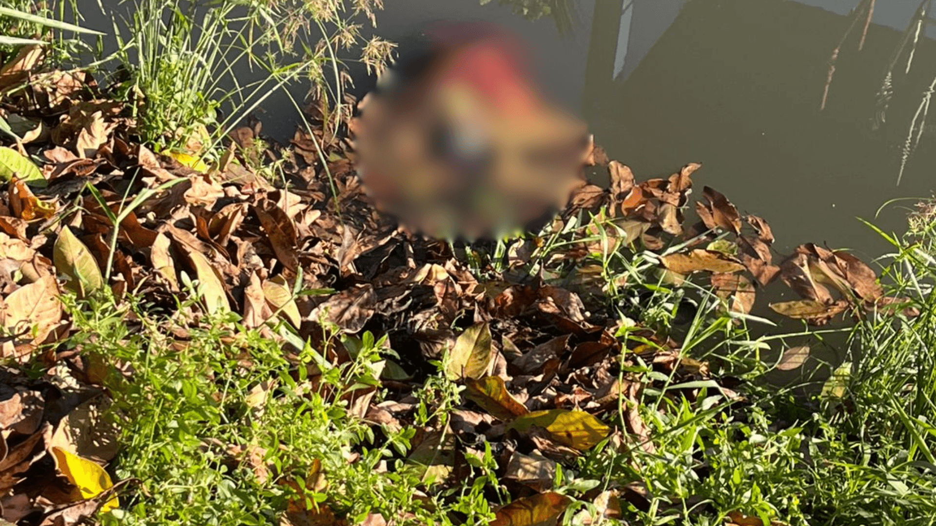 Corpo é encontrado no Conjunto Promorar, em Belém