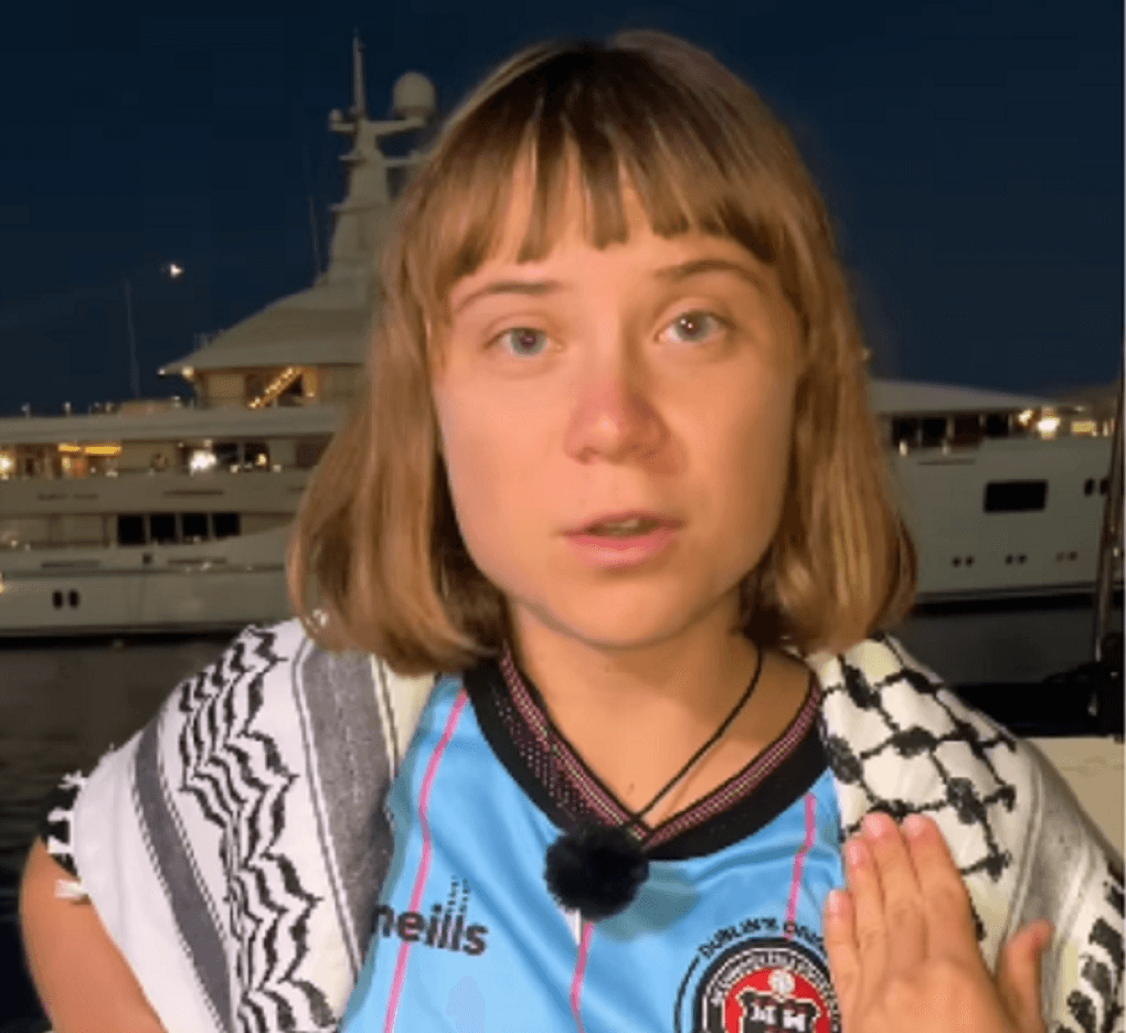 Fridays for Future desmente vinda de Greta a Belém e cobra protagonismo para jovens brasileiros