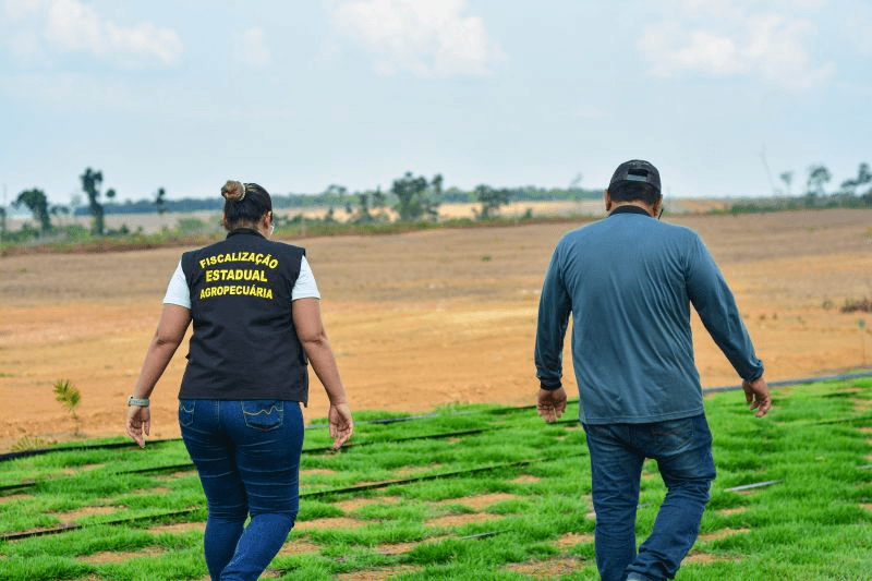 Governo do Pará abre 30 vagas temporárias em dois novos processos seletivos; confira