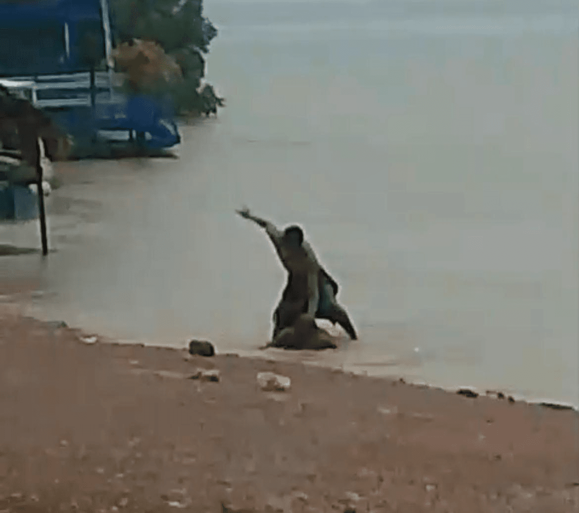 Homem é flagrado agredindo mulher às margens do Rio Tocantins, em Marabá