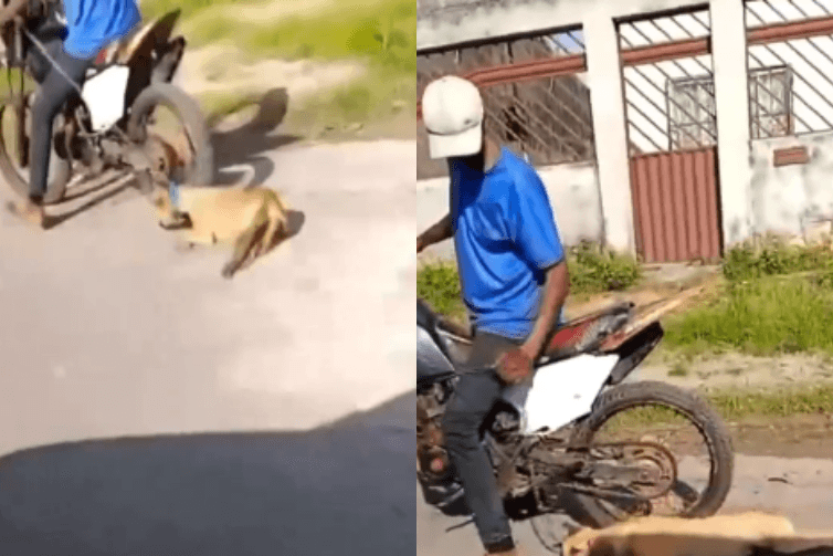 Homem é preso em Breu Branco por maus-tratos após arrastar cachorro com motocicleta pela cidade