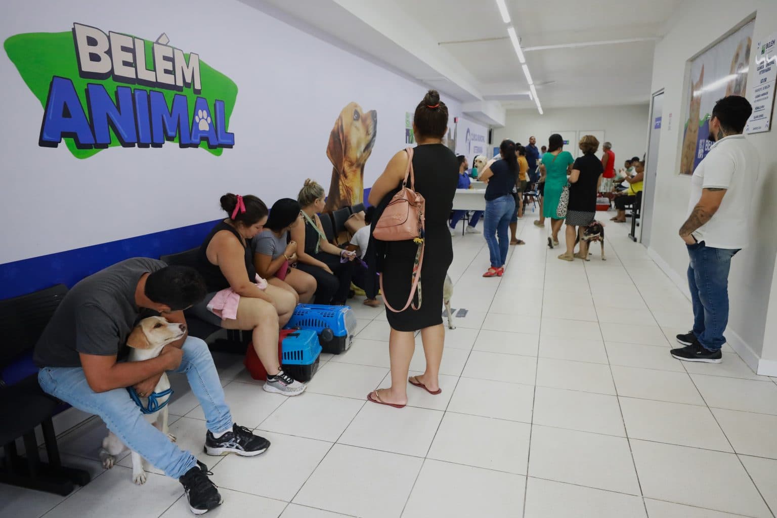 Hospital Veterinário Municipal abre as portas com alta demanda; veja como funciona