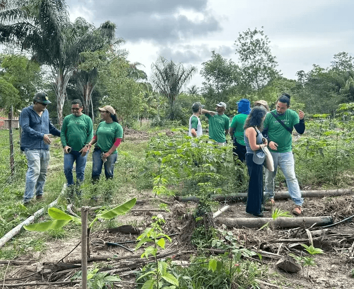 Ideflor-Bio abre inscrições para vagas temporárias em sete municípios do Pará