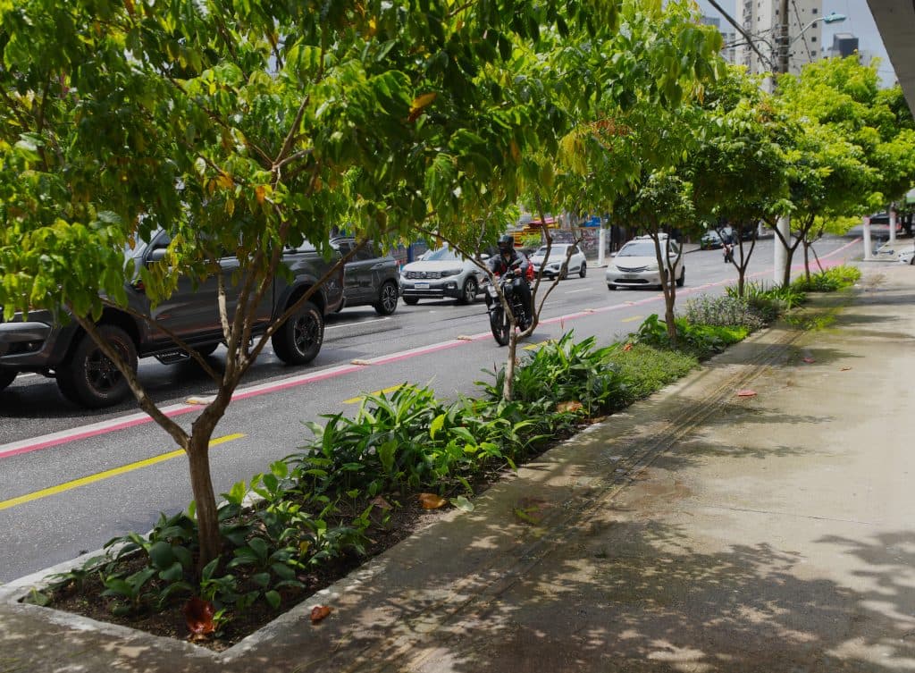 Jardins de chuva começam a ser implantados em Belém para reduzir alagamentos