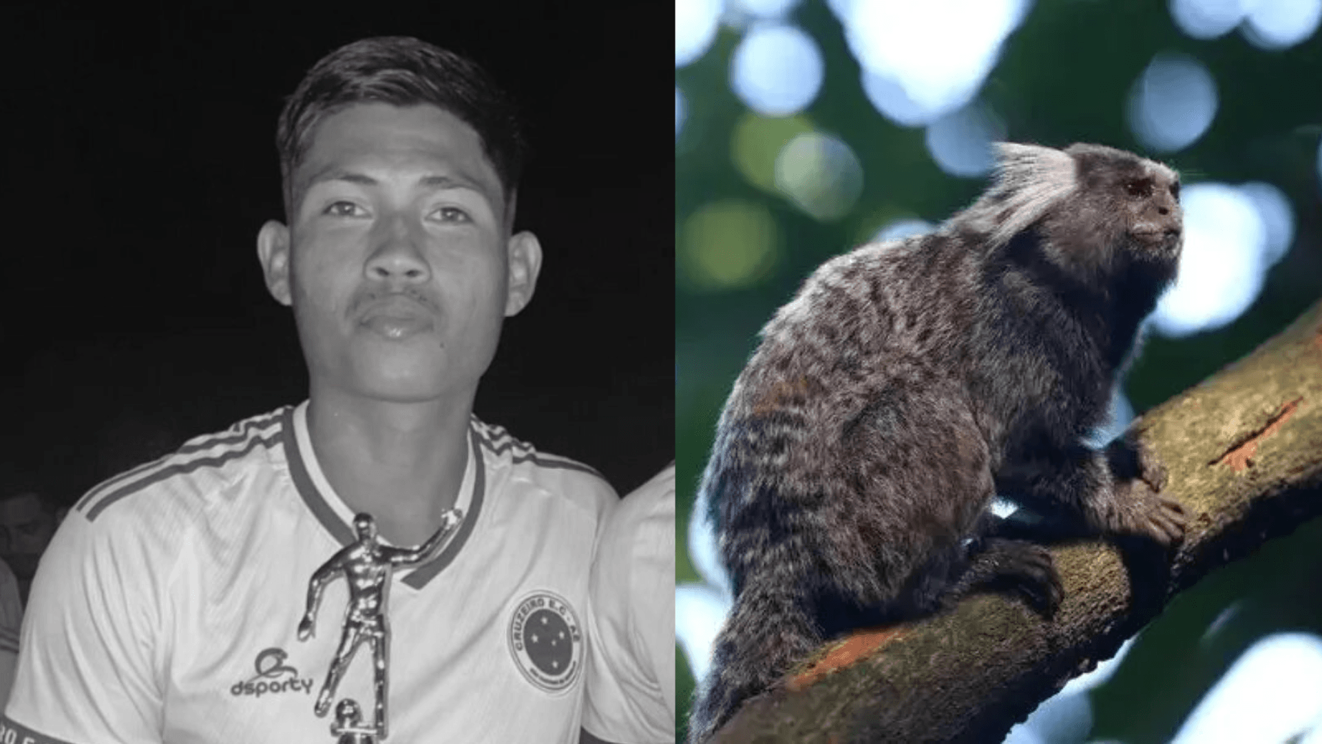 Jovem paraense morre após contrair raiva humana durante viagem ao Amapá; caso é o terceiro registrado no país em 2025