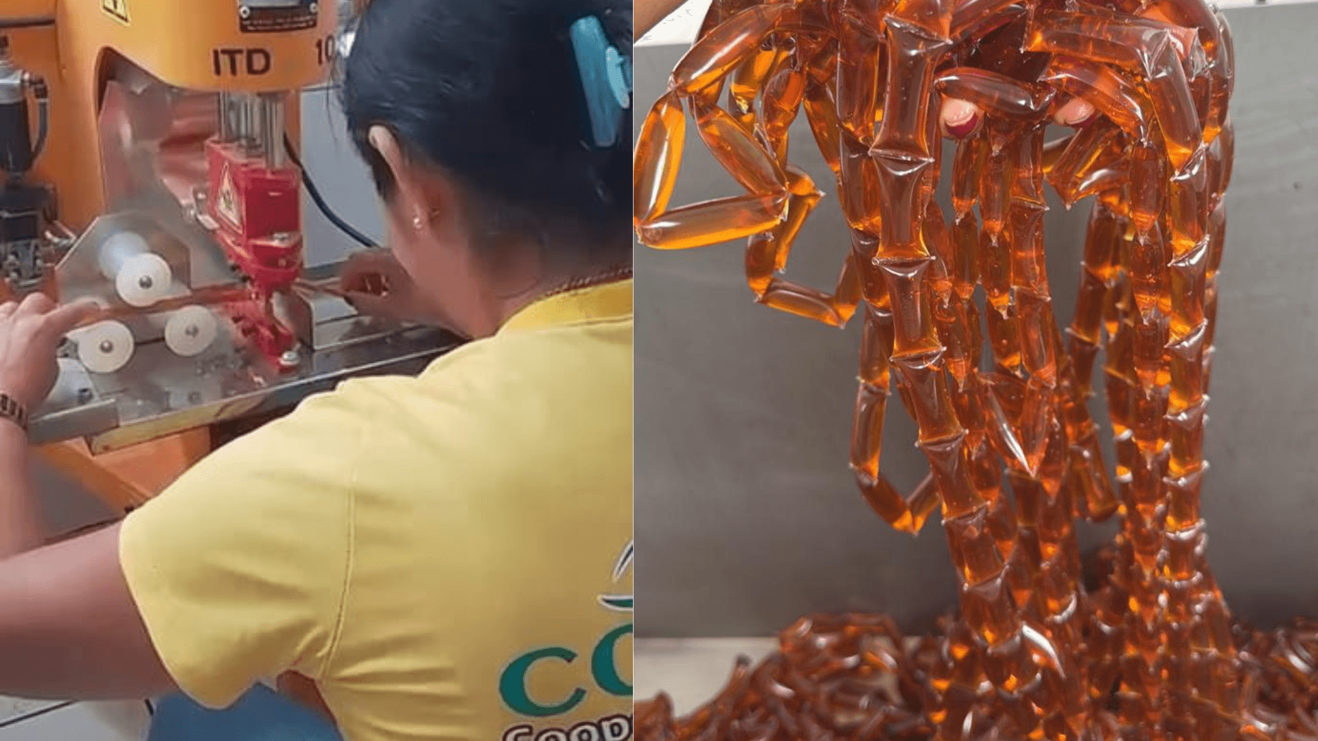 Mel em sachê fortalece renda de apicultores e chega à merenda escolar no sudeste do Pará