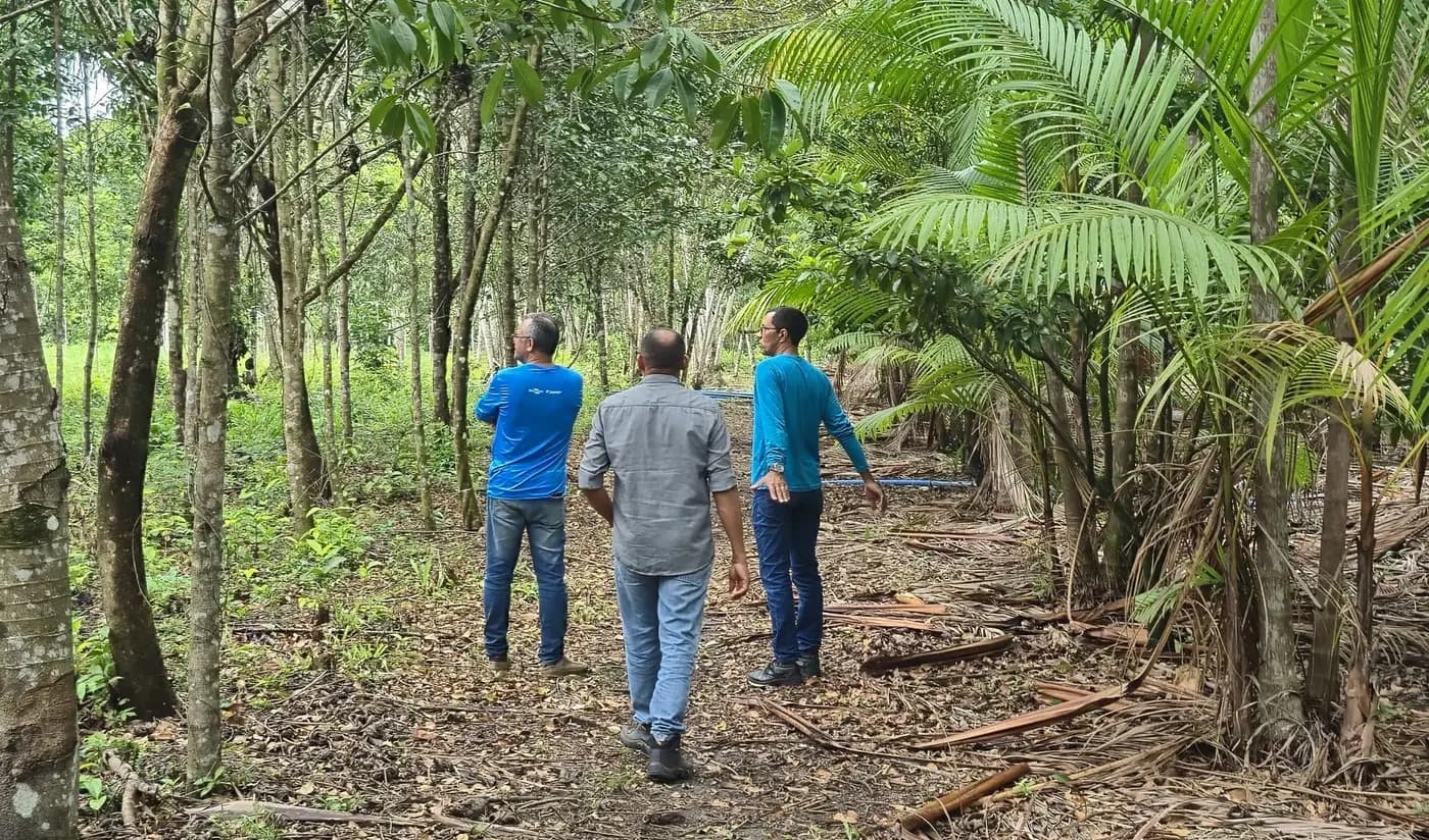 Milhões do crédito rural avançam no Marajó e fecham o cerco sobre quilombolas