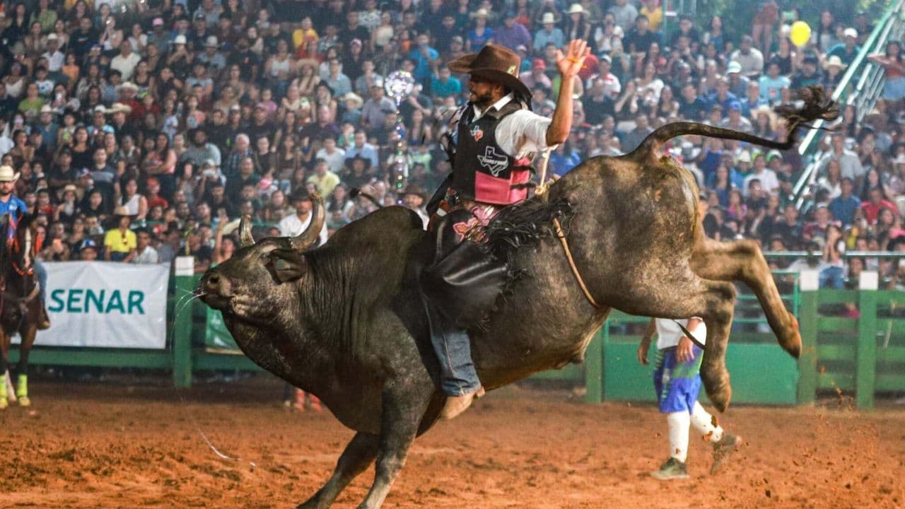 MP investiga rodeio da Expofac 2026 e coloca bem-estar animal no centro do debate em Castanhal